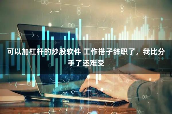 可以加杠杆的炒股软件 工作搭子辞职了，我比分手了还难受