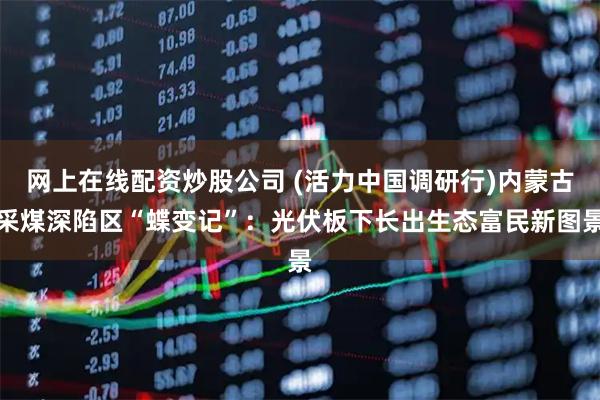 网上在线配资炒股公司 (活力中国调研行)内蒙古采煤深陷区“蝶变记”：光伏板下长出生态富民新图景